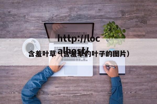 含羞叶草（含羞草的叶子的图片）